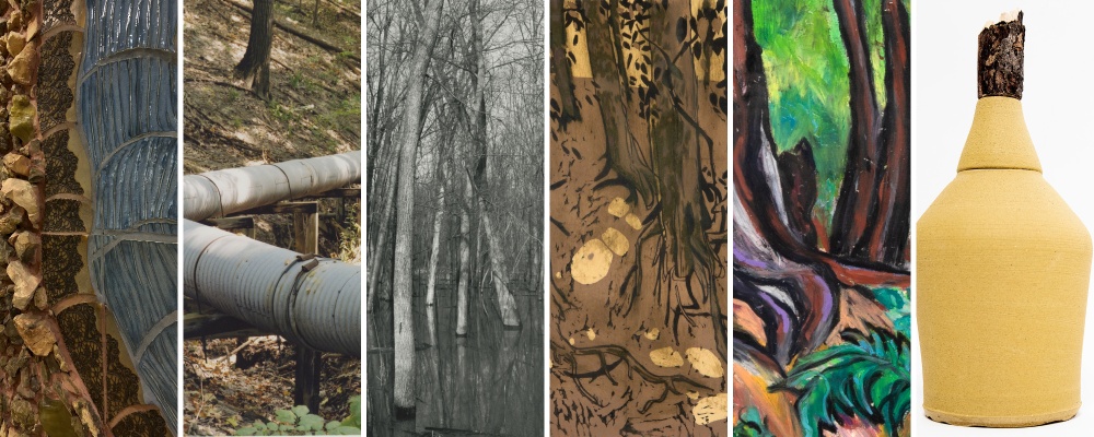 Finding Inspiration from Nature: GVSUs Ravines